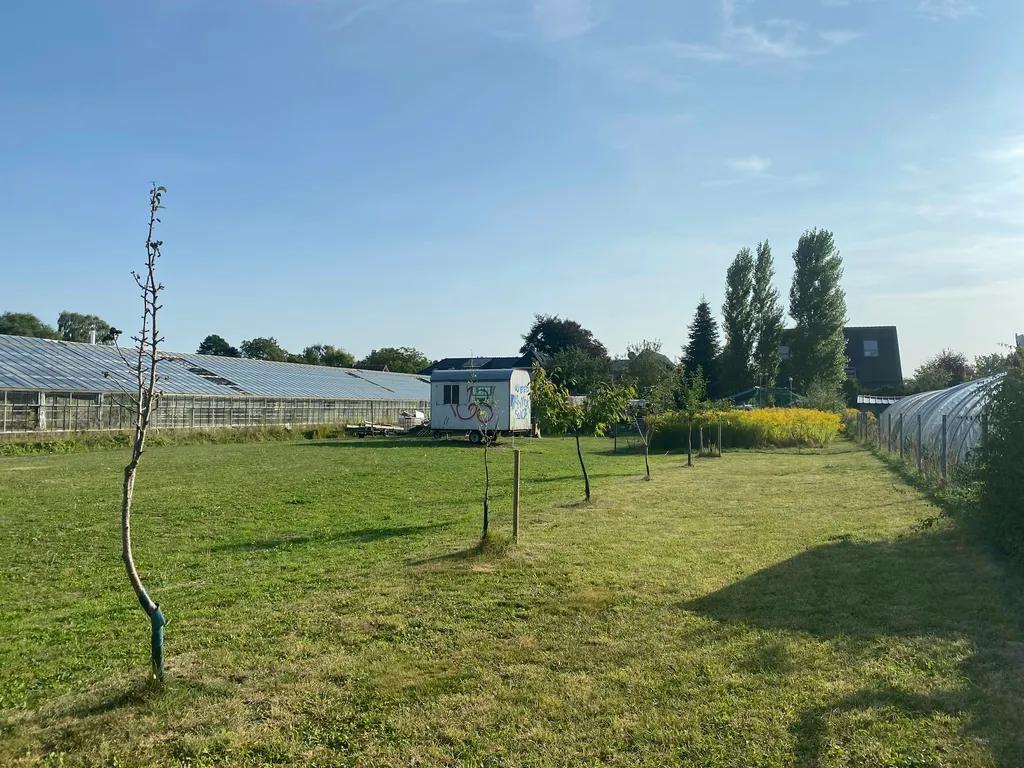 Wiese hinterm Haus