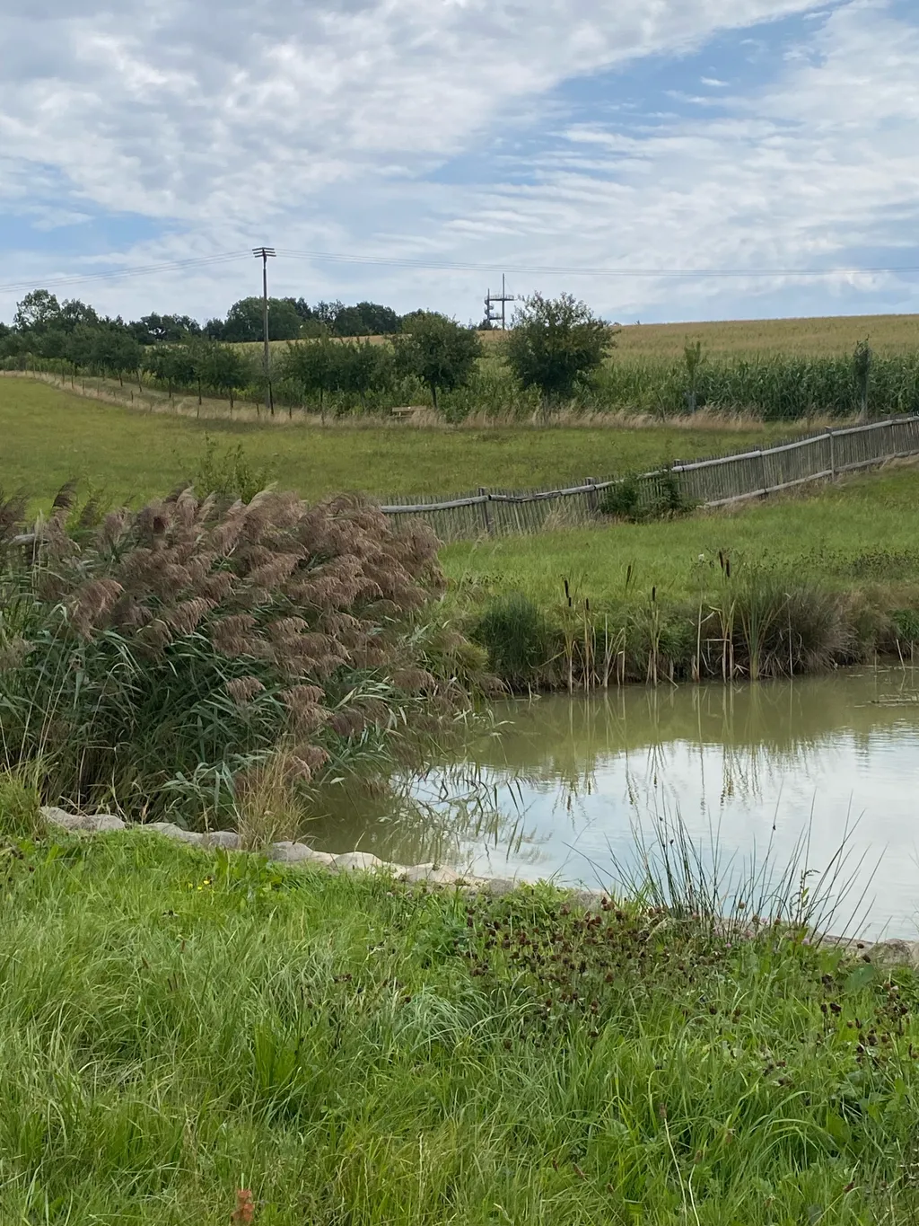 Naturstellplatz am Teich - Ruhe & Entschleunigung