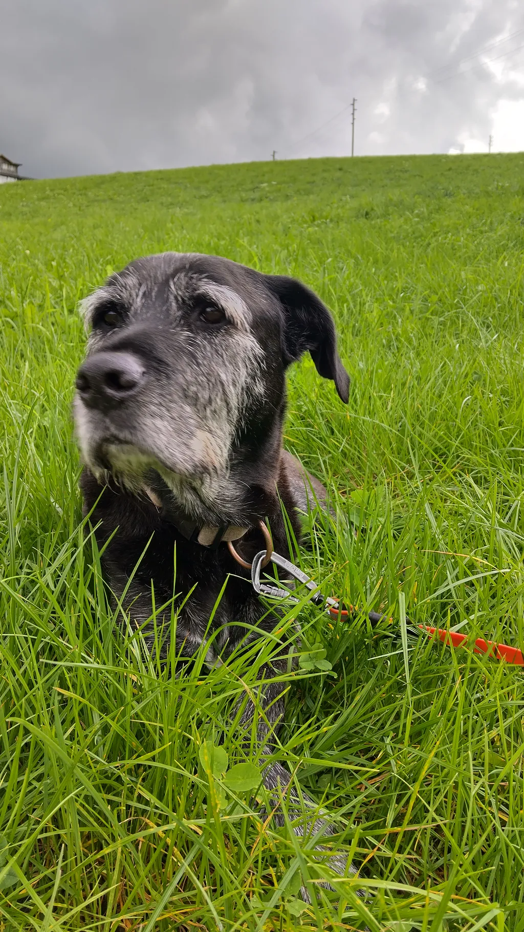 Immagine di Monica per lo spot 4270