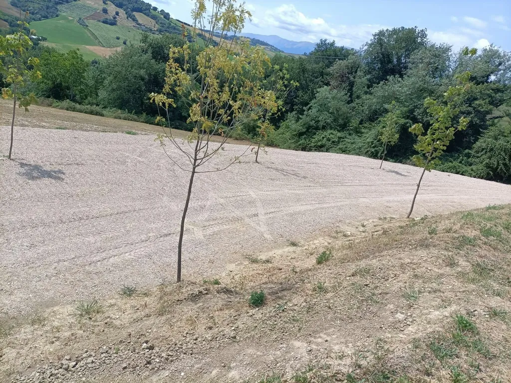 Il Garden Sharing con vista