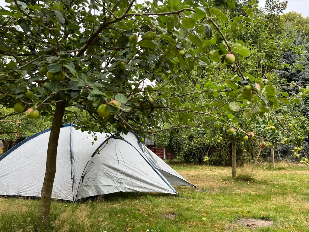 Zelten in der Obstwiese am Kanal