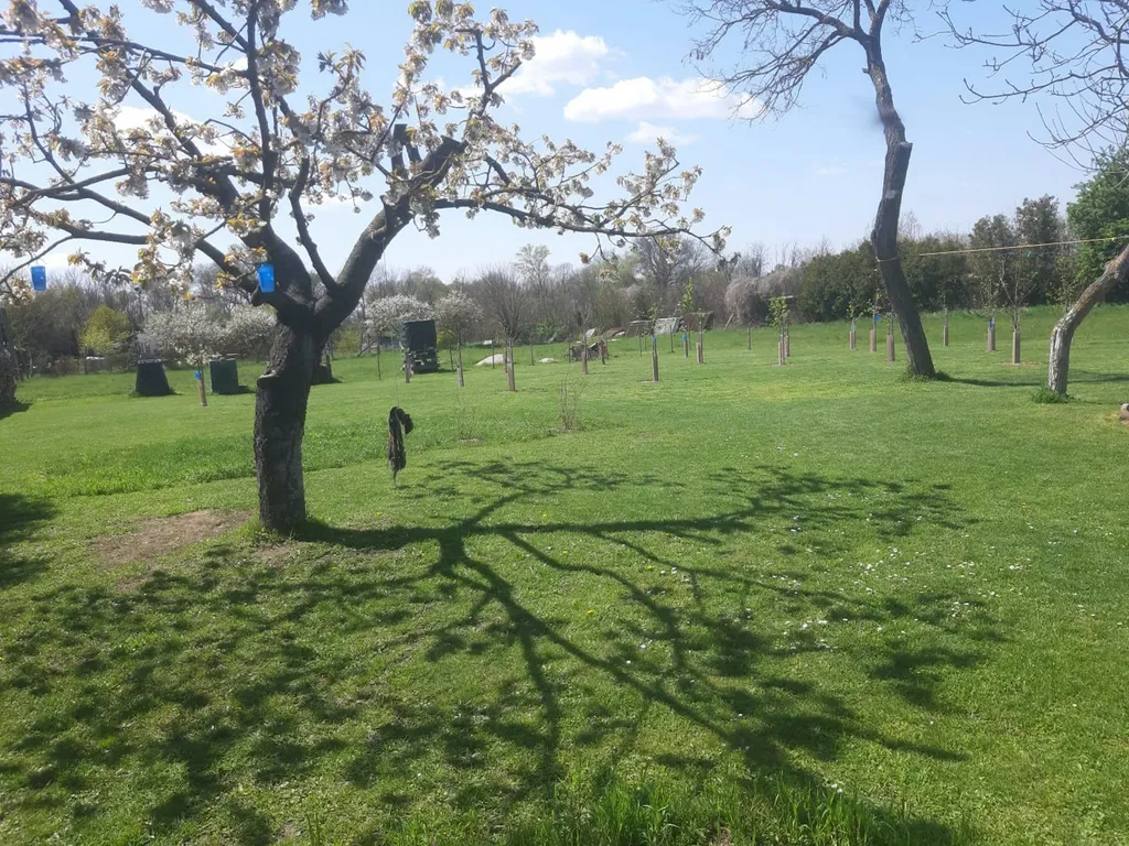 Zwischen Wien und Budapest bei Györ