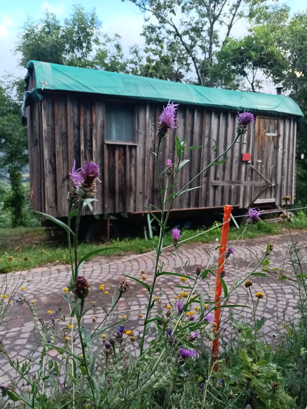 Bild von Madalena Maria für den Spot 765