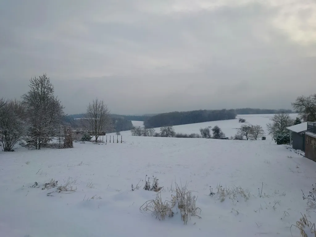 Wiese im Ort mit schönem Ausblick