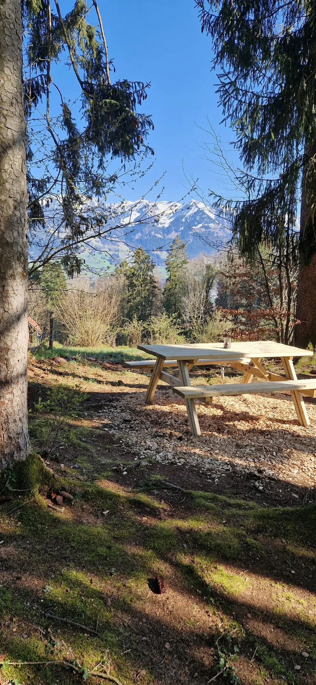 Neigers Waldplätzli