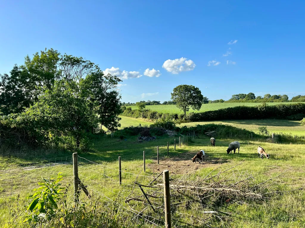 Idyllischer Platz mit Weitblick