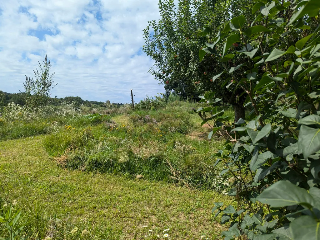 Zelten mit Aussicht