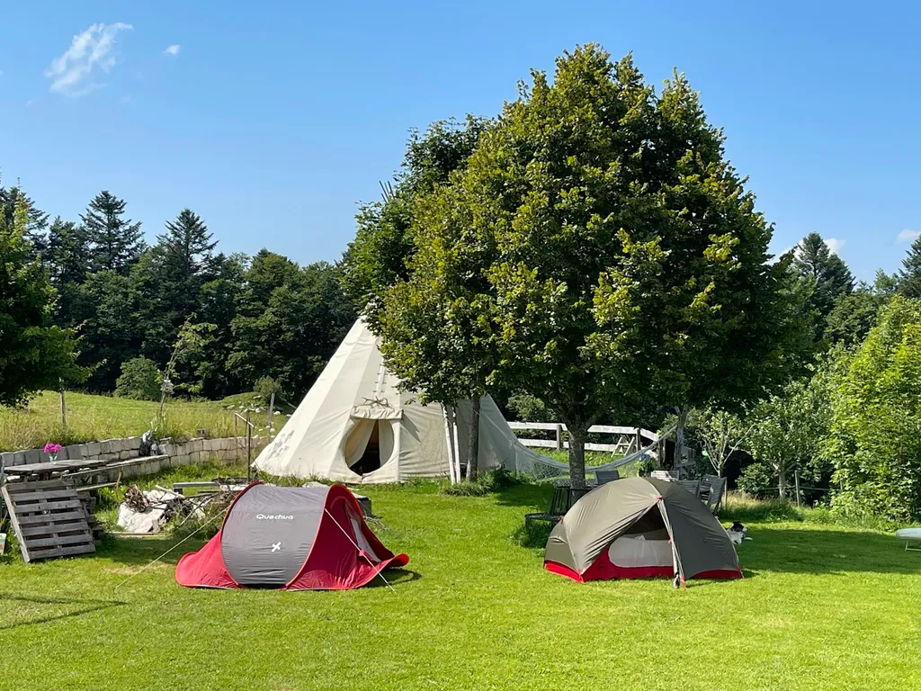 Camp Boinod