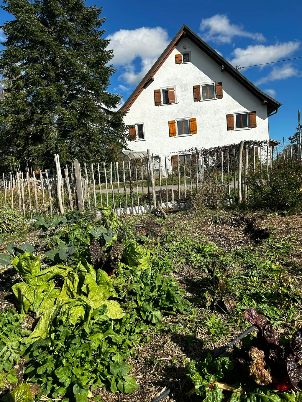 Camping im Grünen