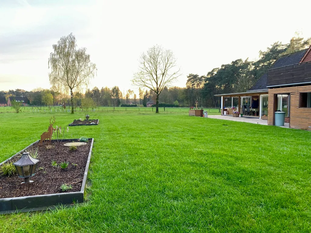 Wiese mit Teichblick