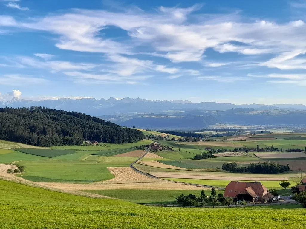 Beim Apfelbaum von Käsers Biohof