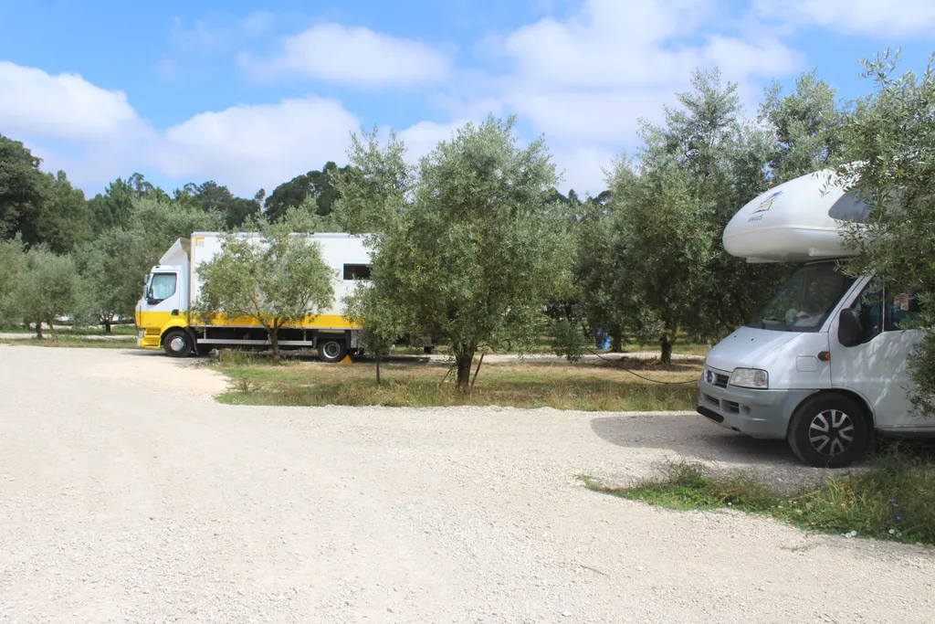 Camp in an Olive Grove & Tour our Historic Mill