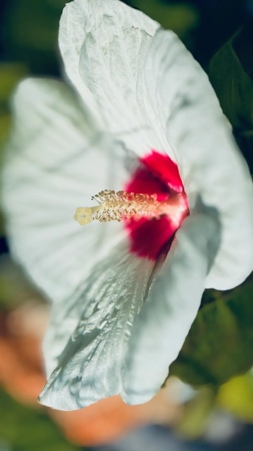 Bild von Roland für den Spot 3538