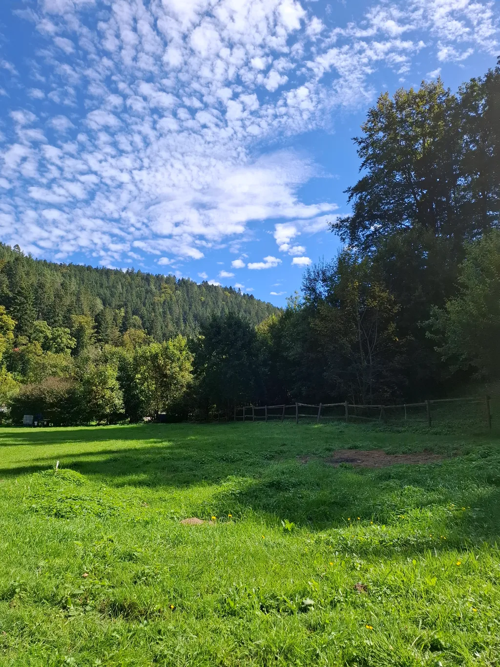 Bild von Patrick für den Spot 1488