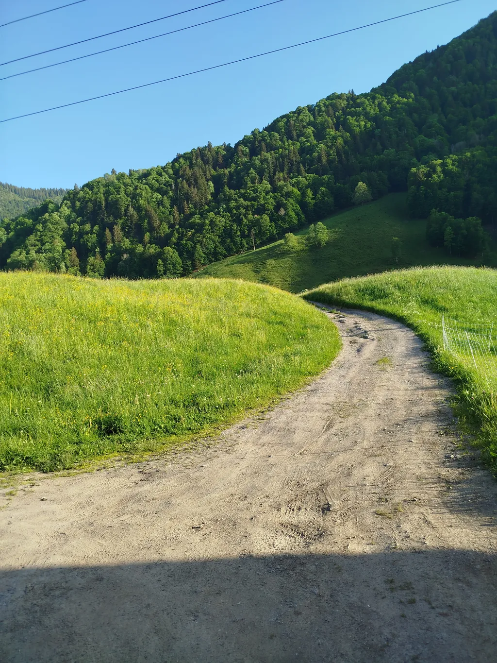 Ruhiger Platz in der Natur