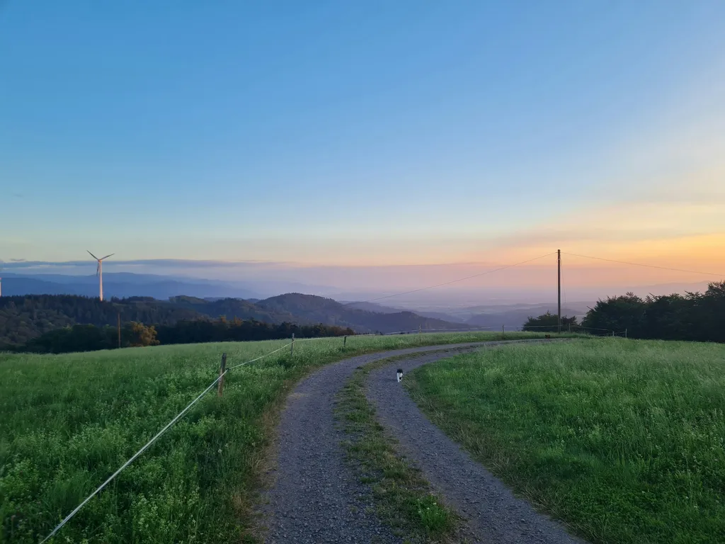 Natur pur - beim Kölble Hof - Eiche