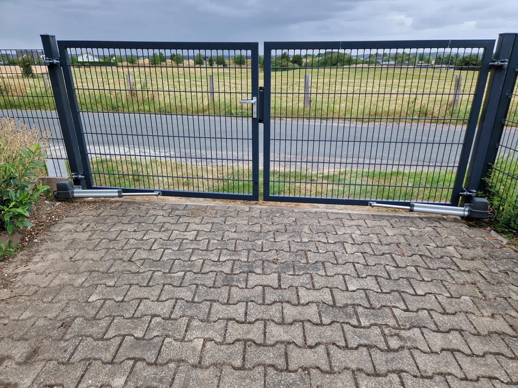 Obstwiese mit Hühnern