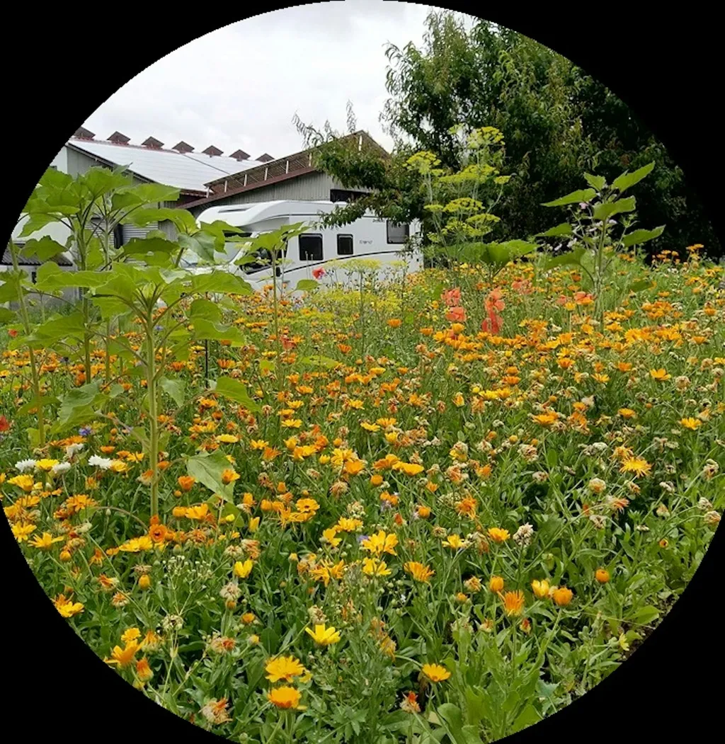 Idyllischer Platz beim Bio-Weingut