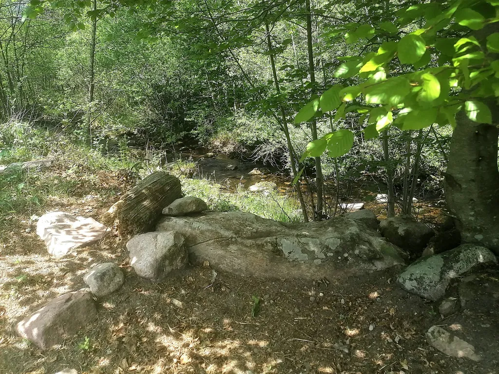 Wieseneckle am Bach mitten im Nationalpark