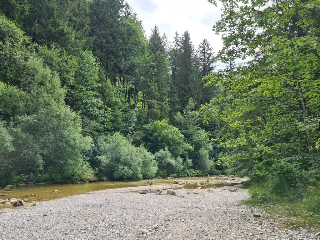 Erlauf - Eingang in die Ötschergräben