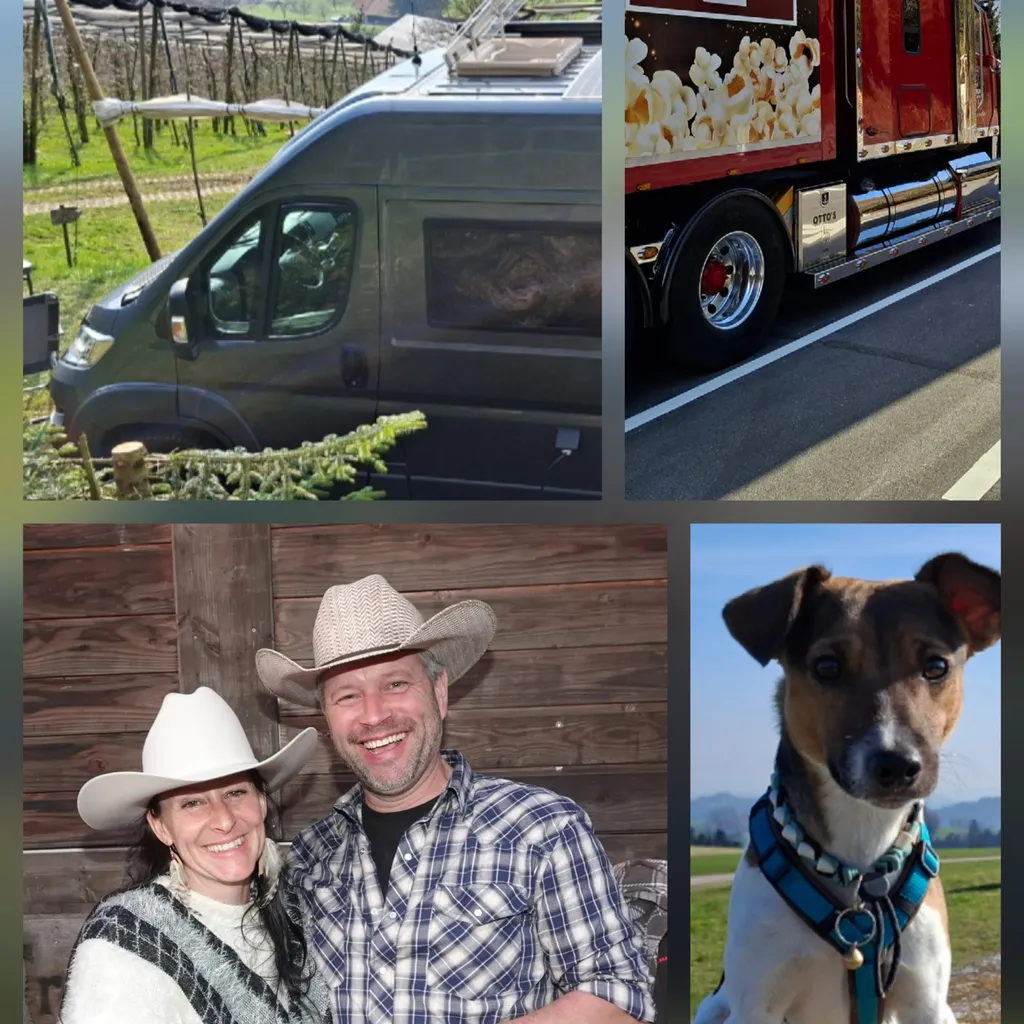 Profilbild von Thomas