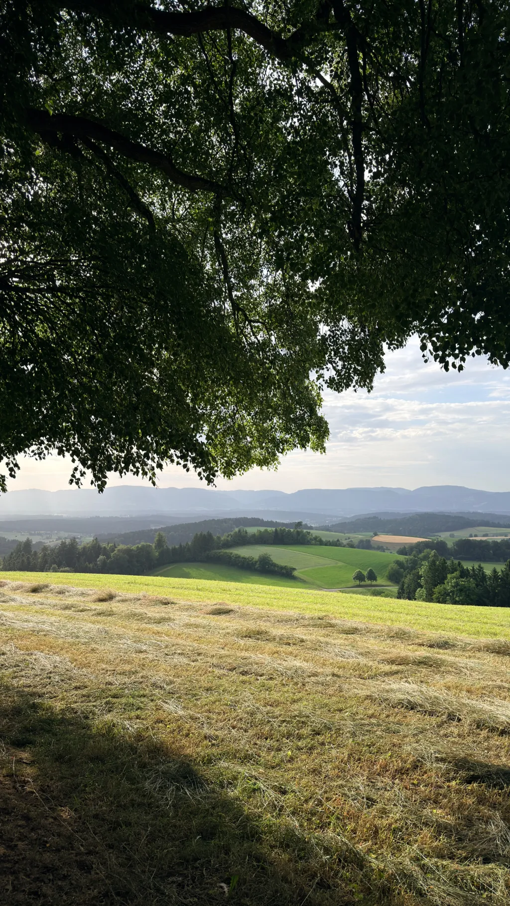 Bild von Jana für den Spot 351