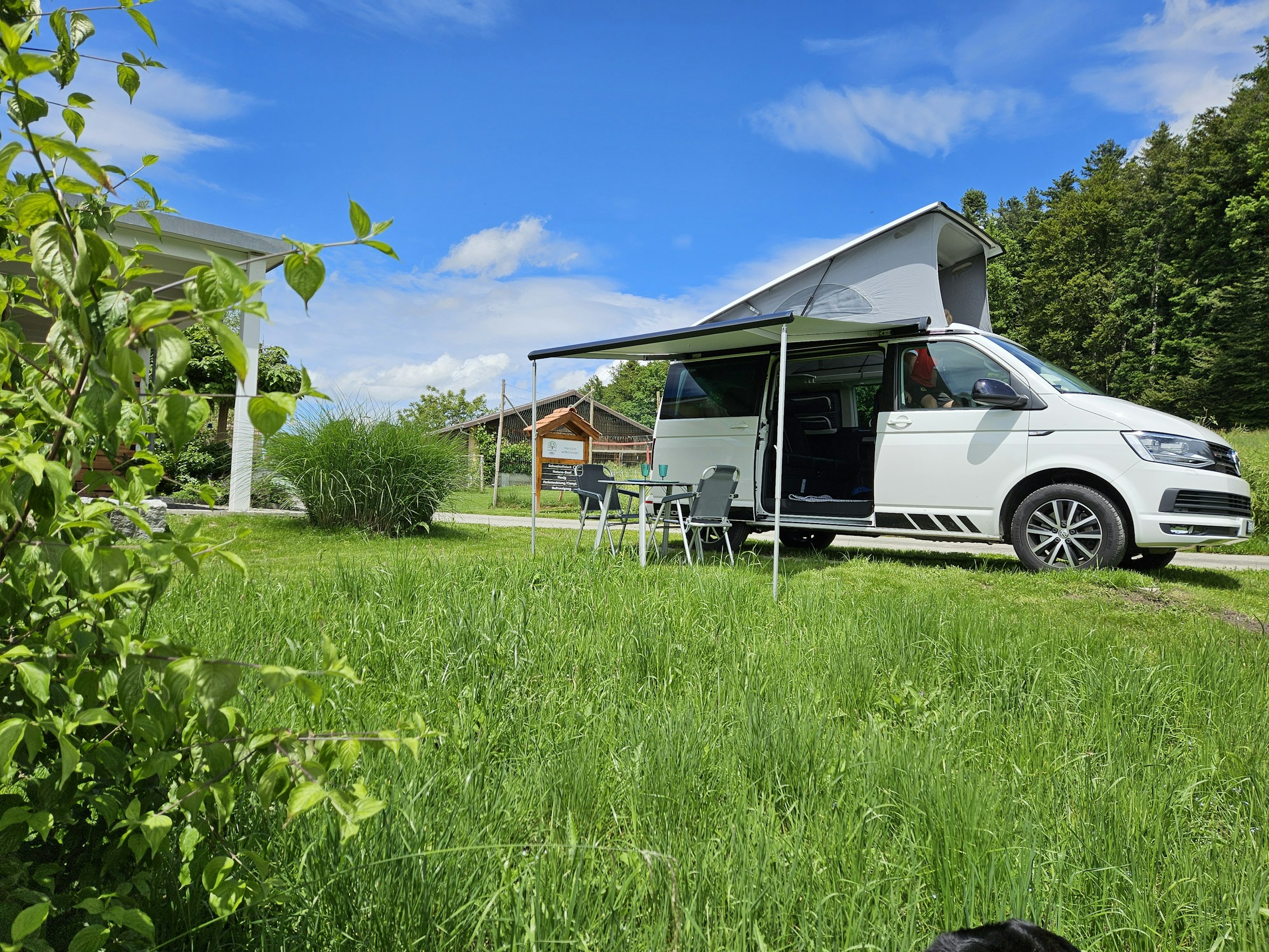Vogelhof Camp "Herzfreudig"