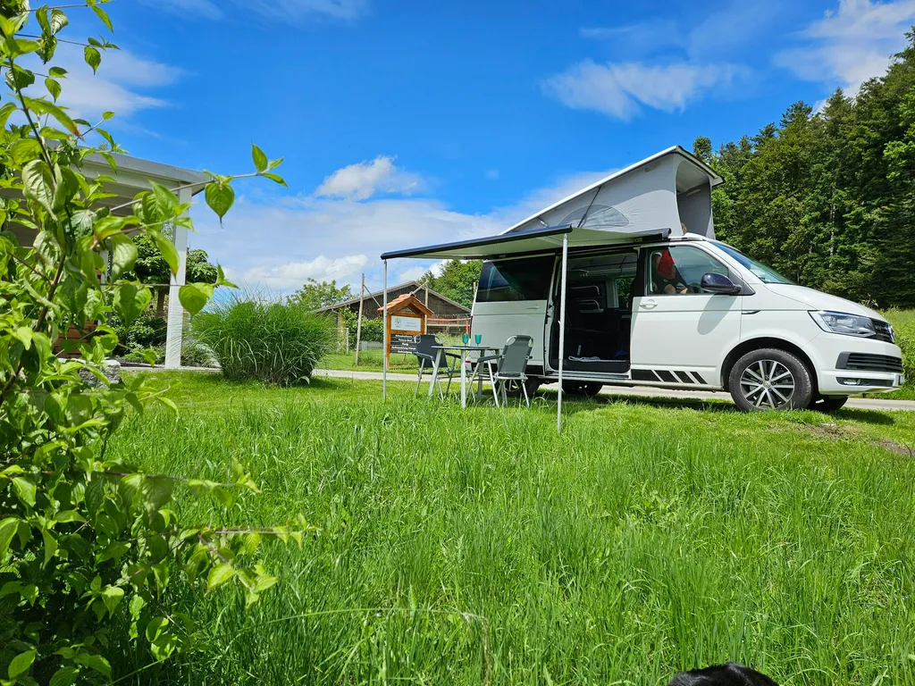 Vogelhof Camp "Herzfreudig"