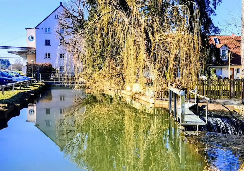 Auf der Koppel – Nbg und Erlangen