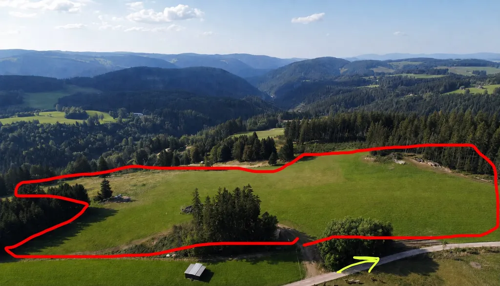 Schwarzwald Panorama in Mitten der Natur