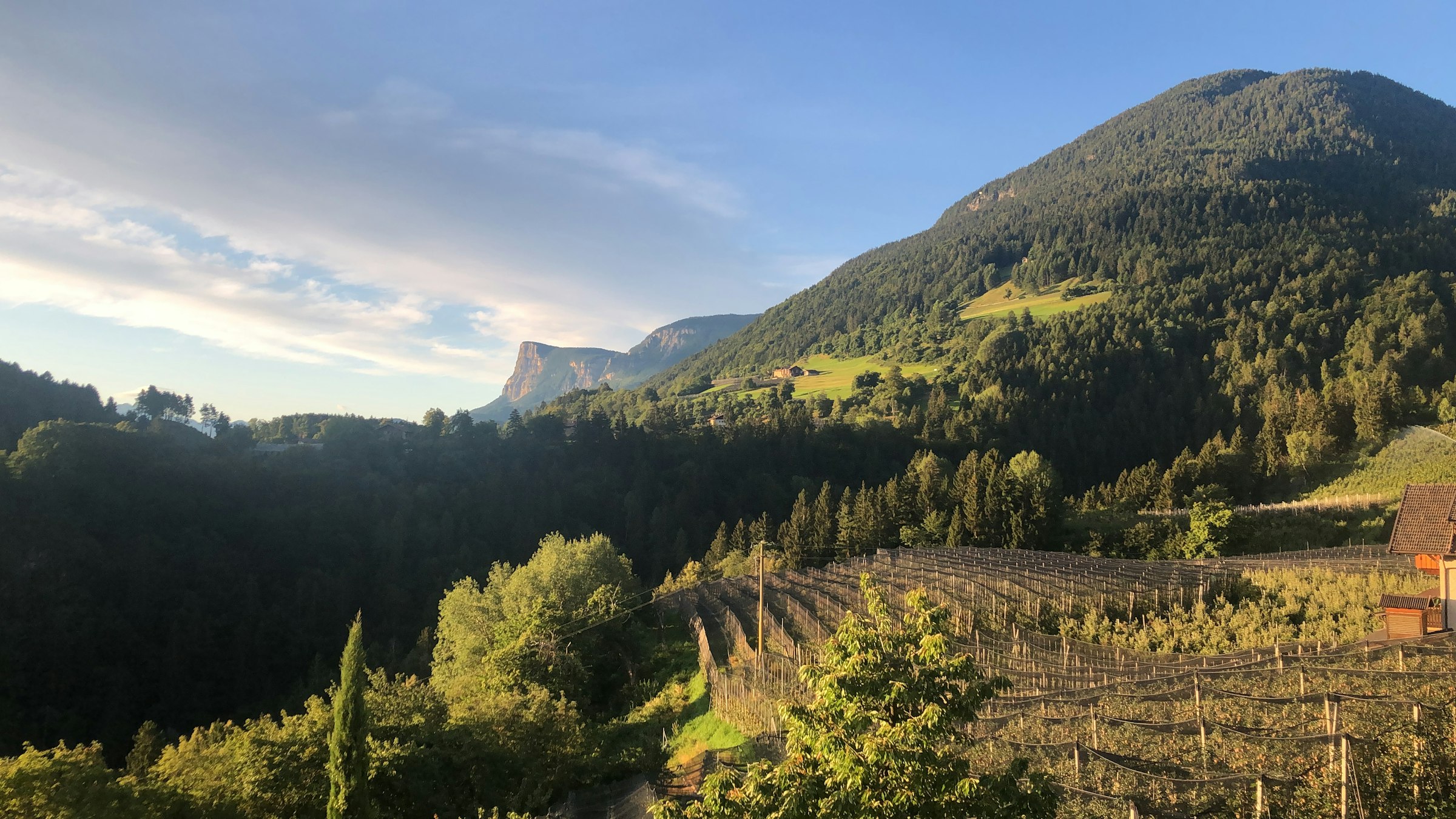 Stellplatz Apfelwiese