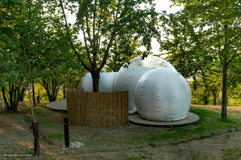 Bubble Room in vigneto a Corinaldo