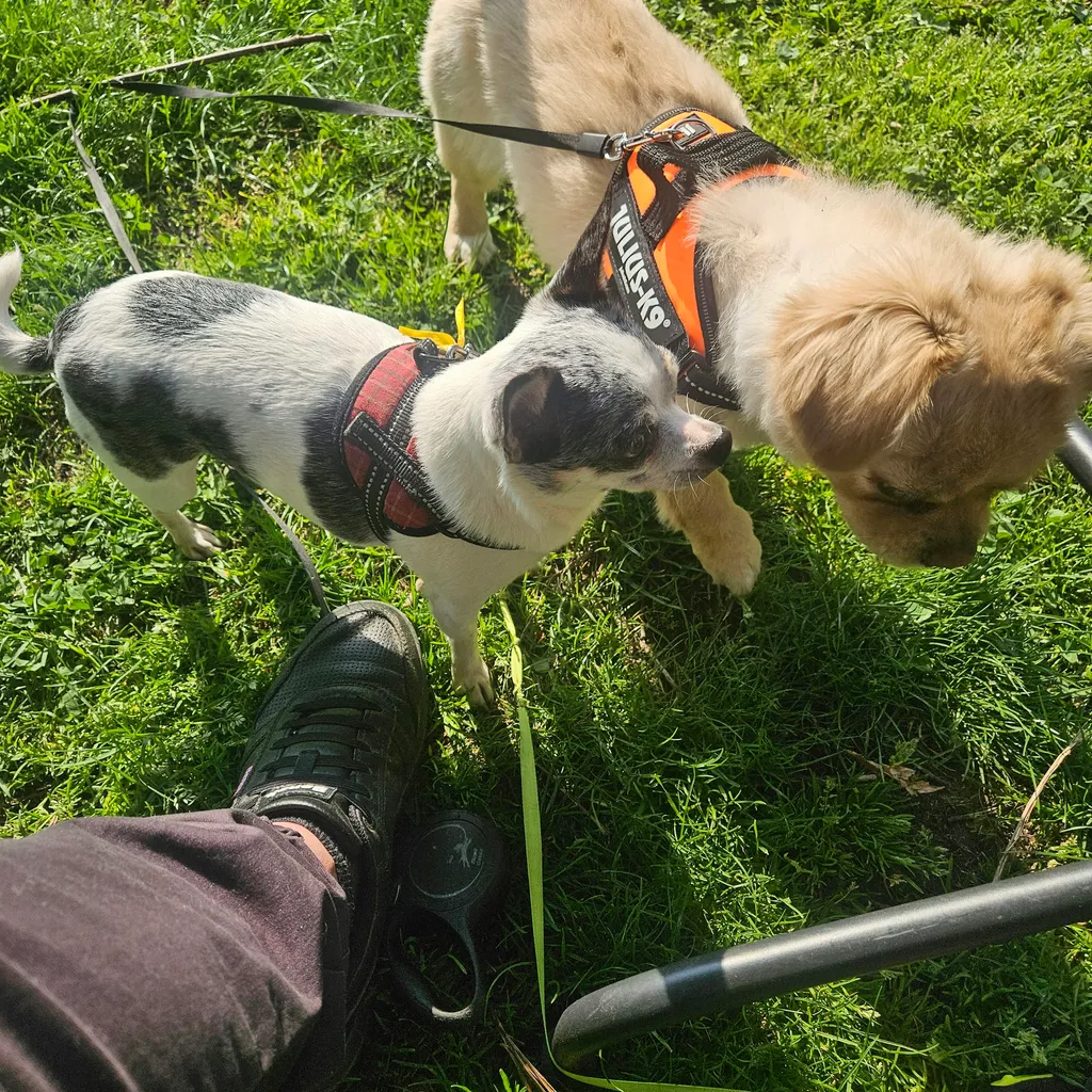 Profilbild von albanese1972906@gmail.com