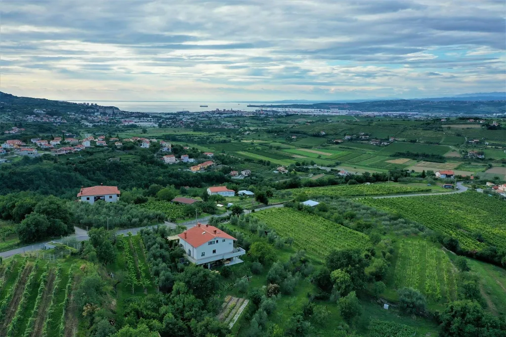 Farm stay Butul Domačija Butul