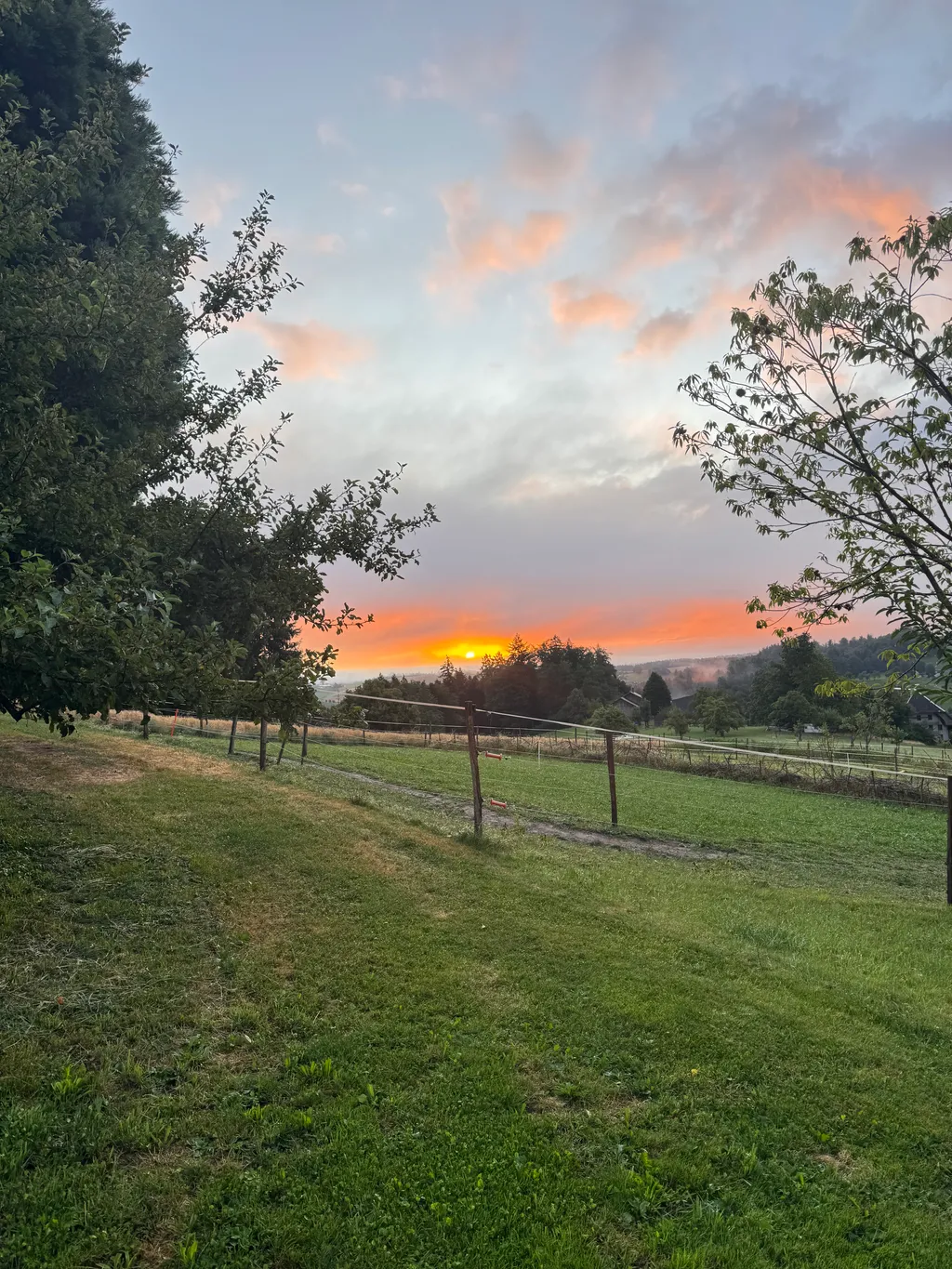 Bild von Dana für den Spot 3728