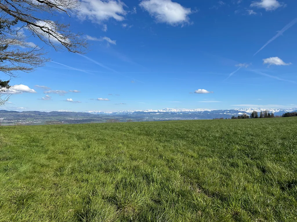 Bild von Micha für den Spot 4467