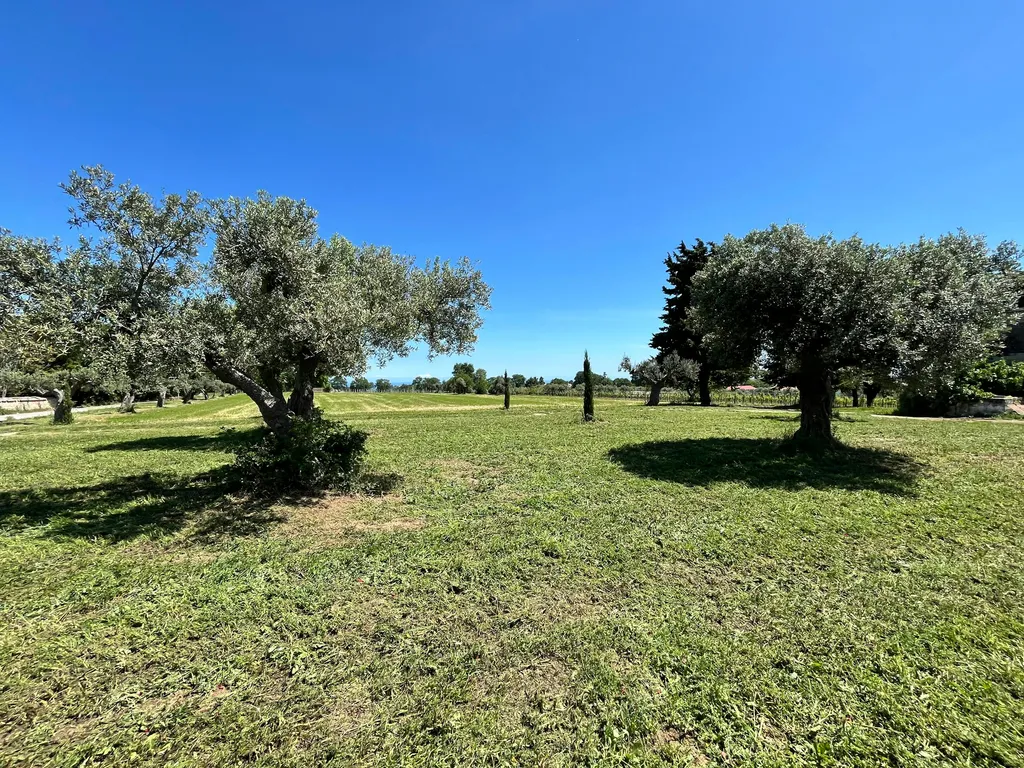 Cantina e Vigneti