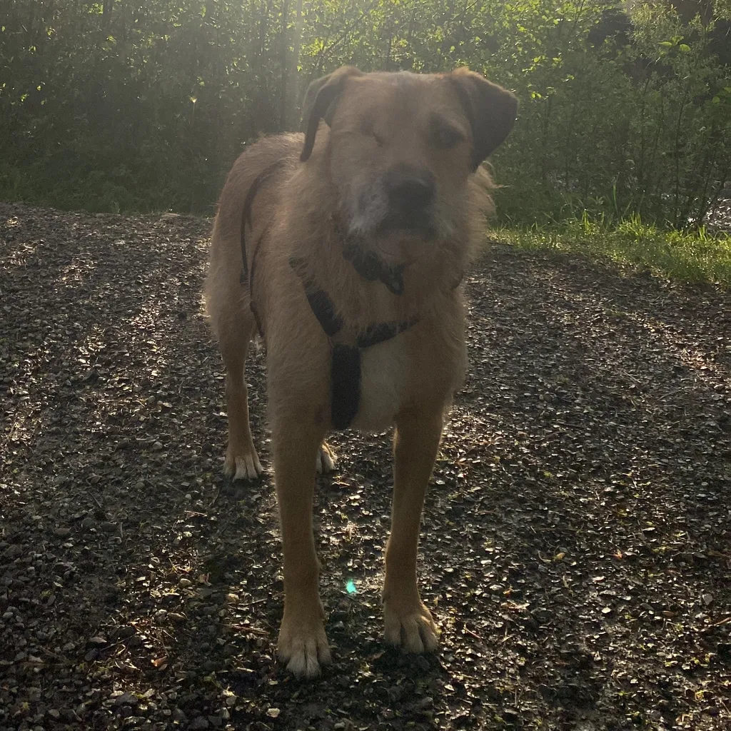 Profilbild von Jennifer