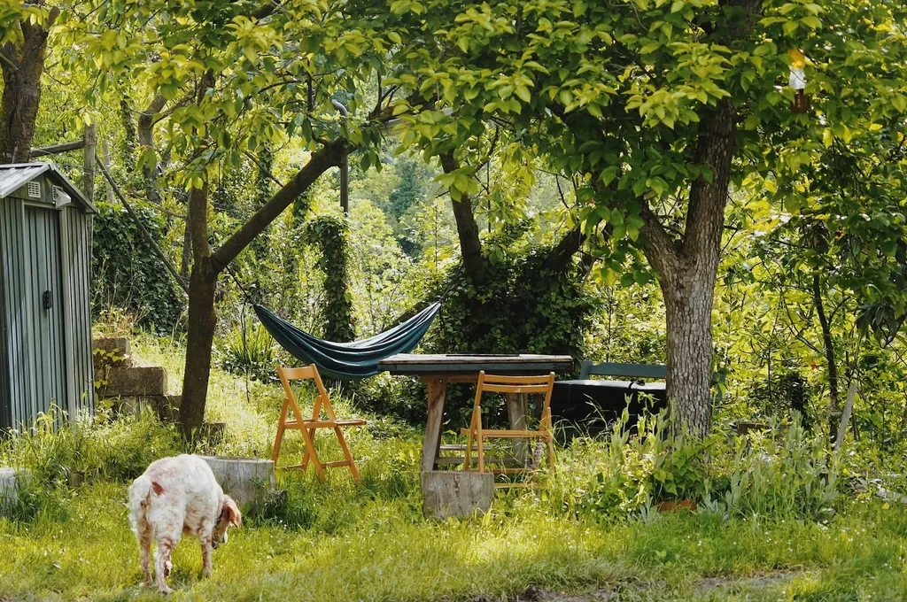 A Whale in the Woods