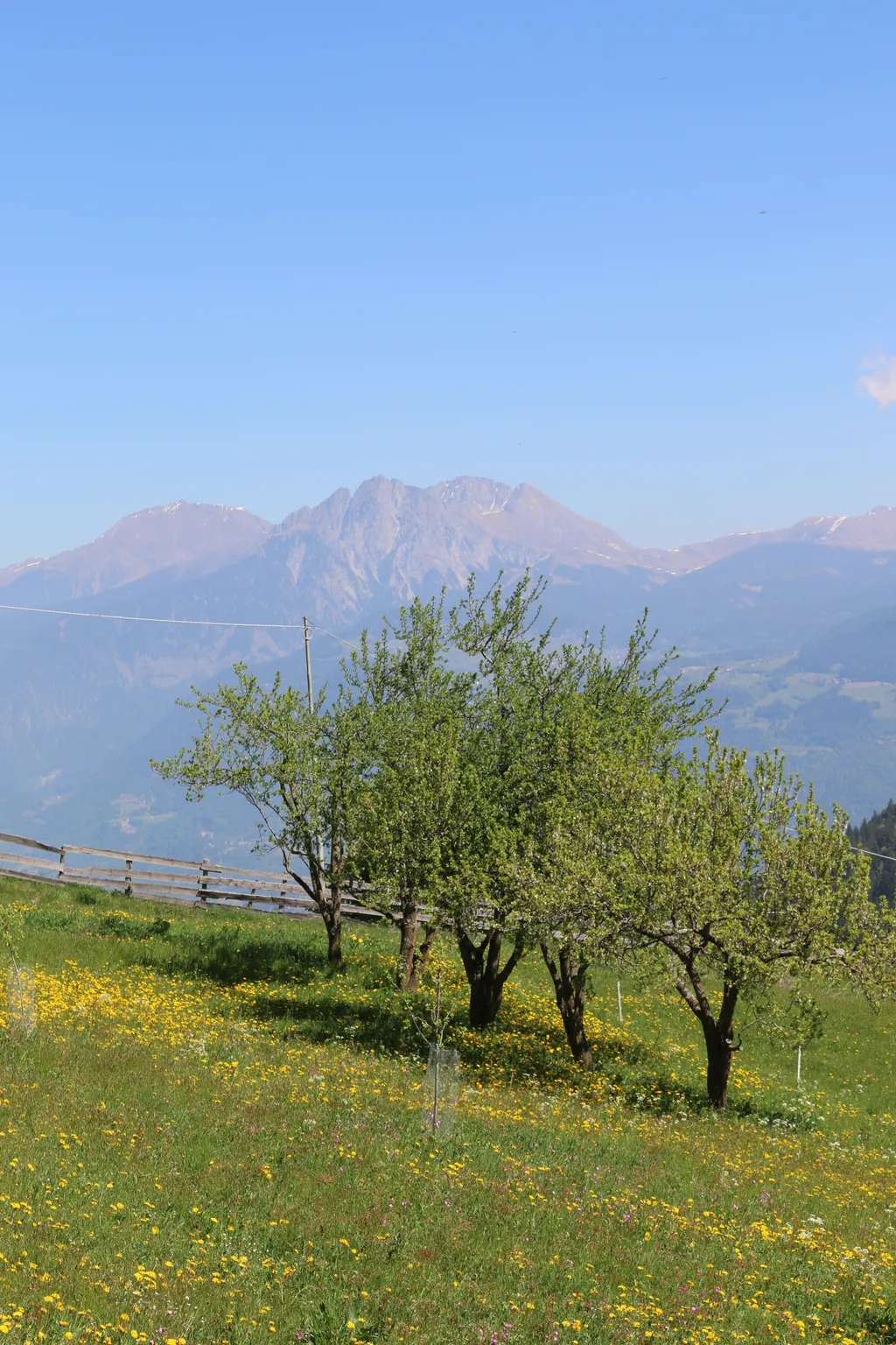 Aussicht