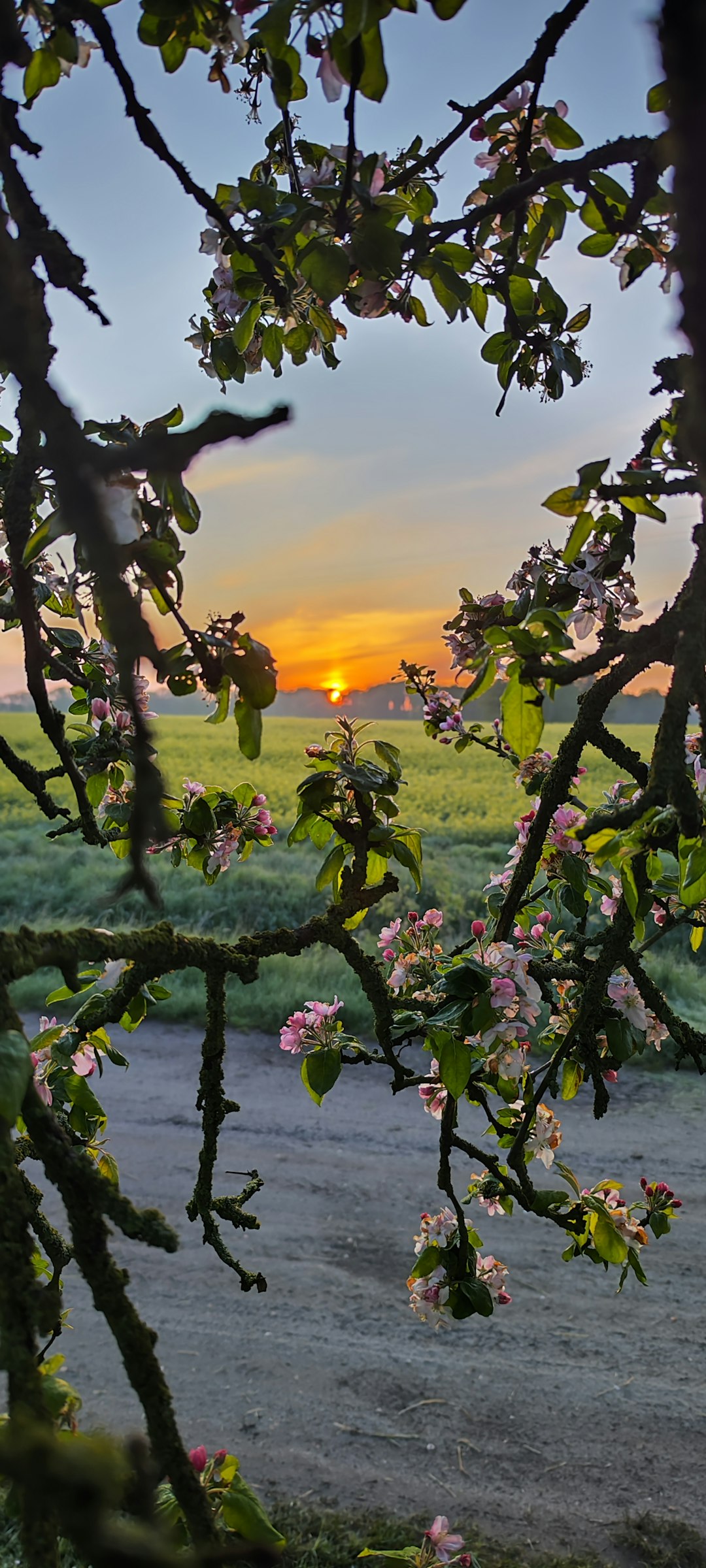 'Waldfarm' im Natura 2000