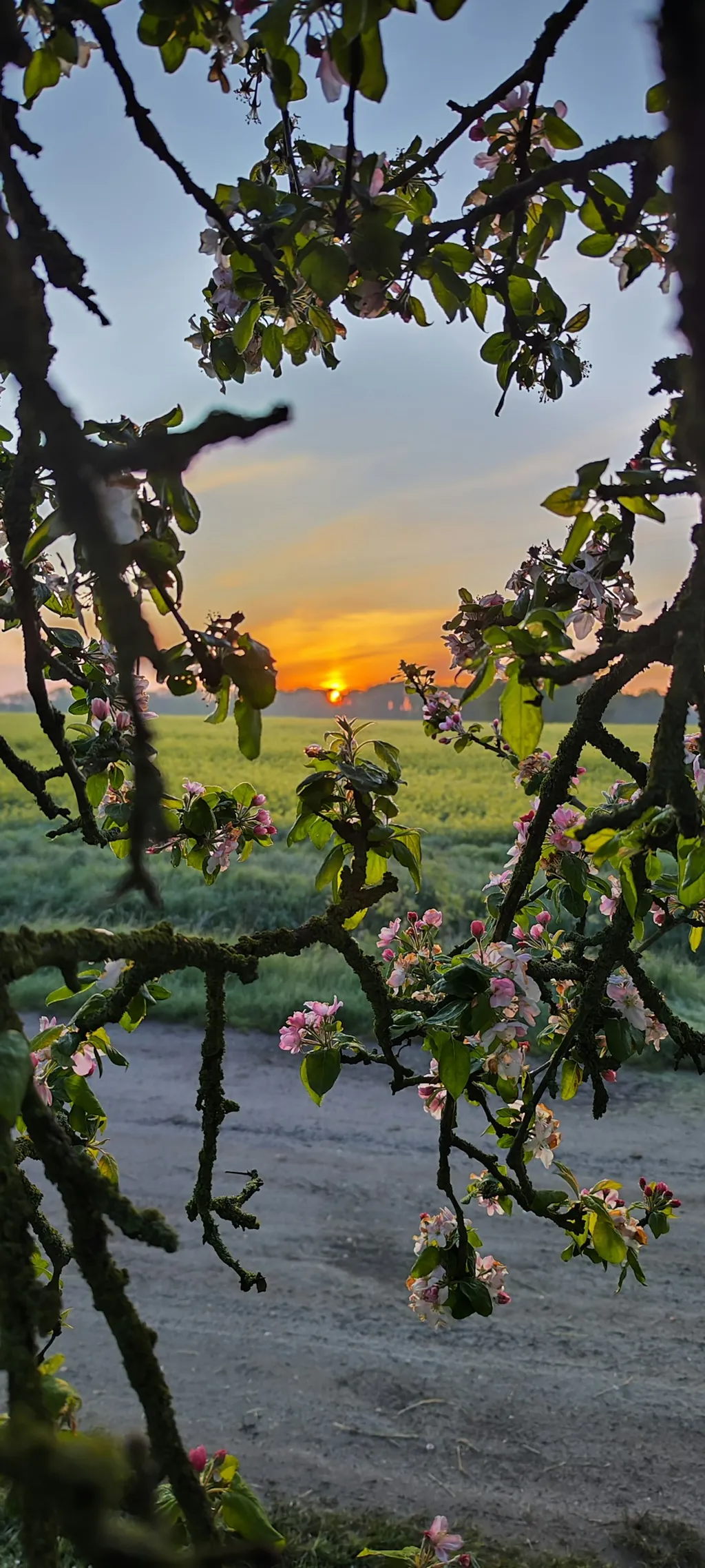 'Waldfarm' im Natura 2000