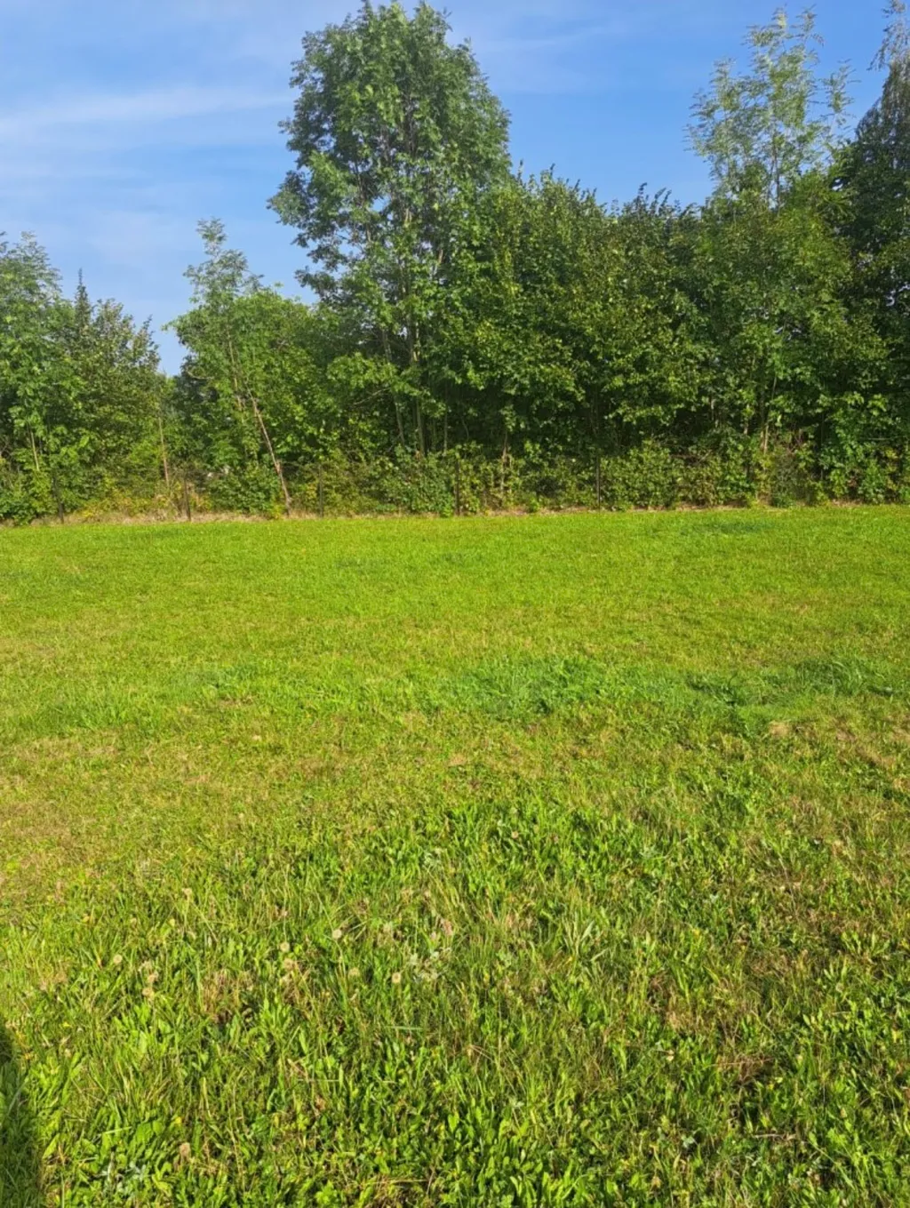 Böhmerwaldecke