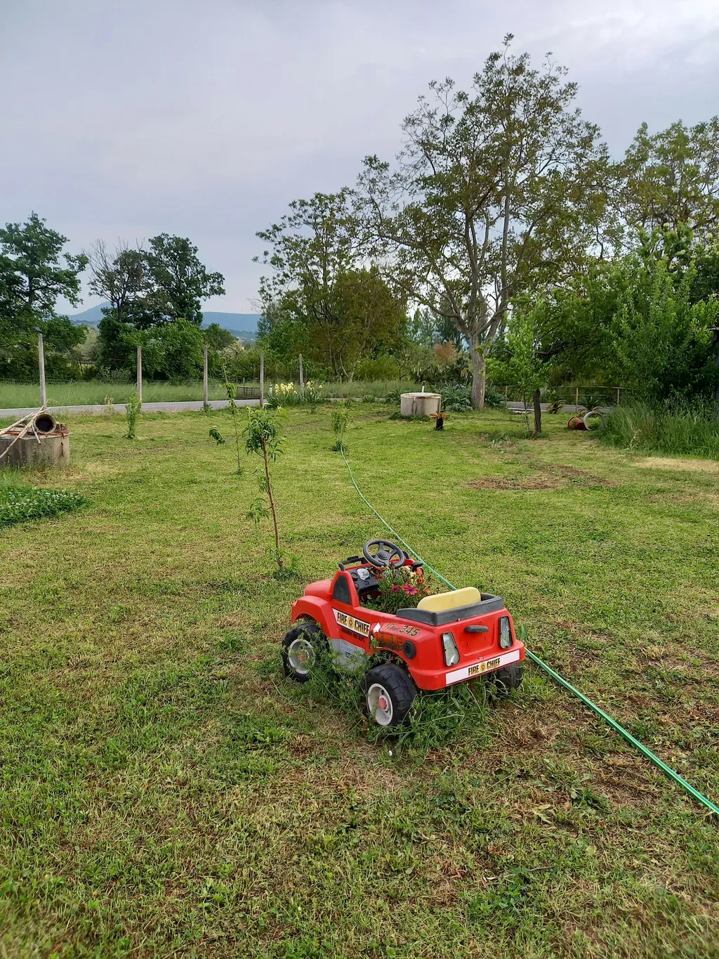 Il Mandorlo Selvatico