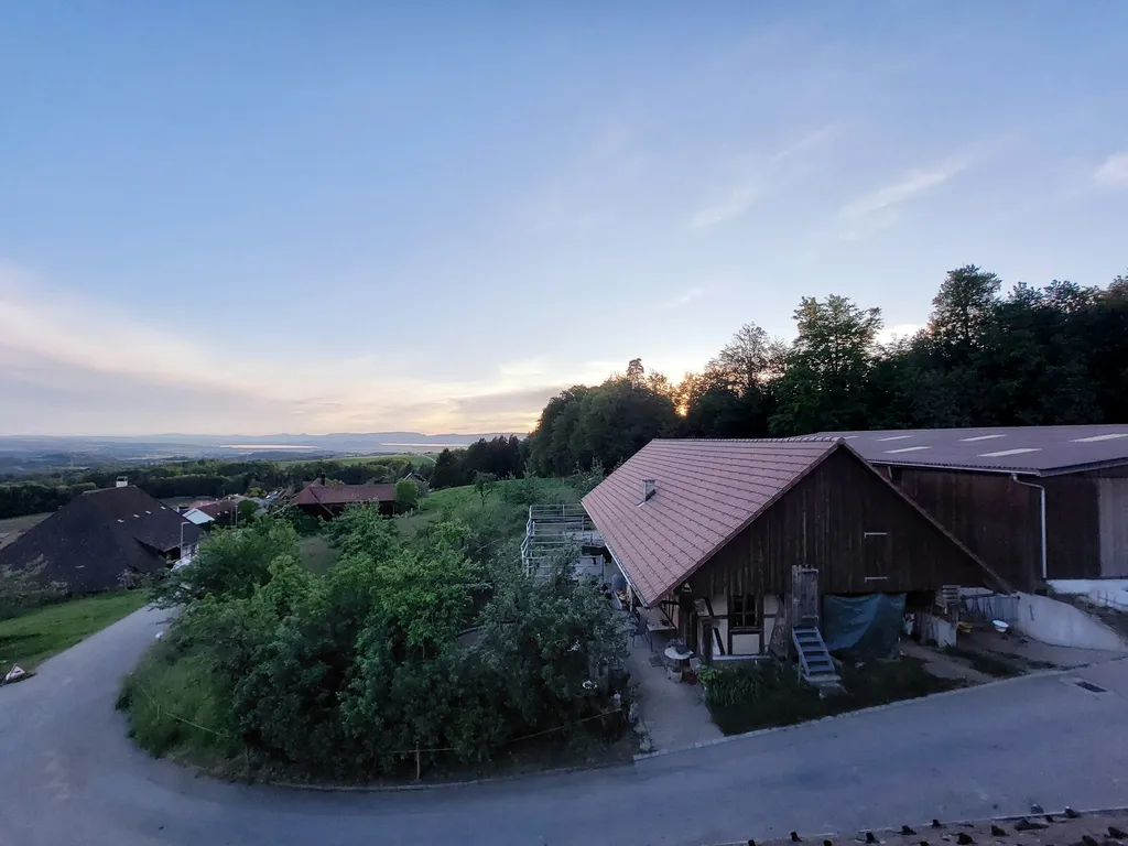Aussichtshof am Waldrand