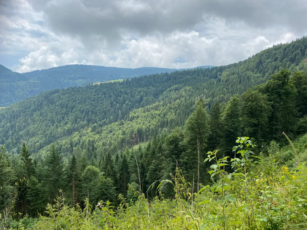 Bild von Mathilde für den Spot 1726