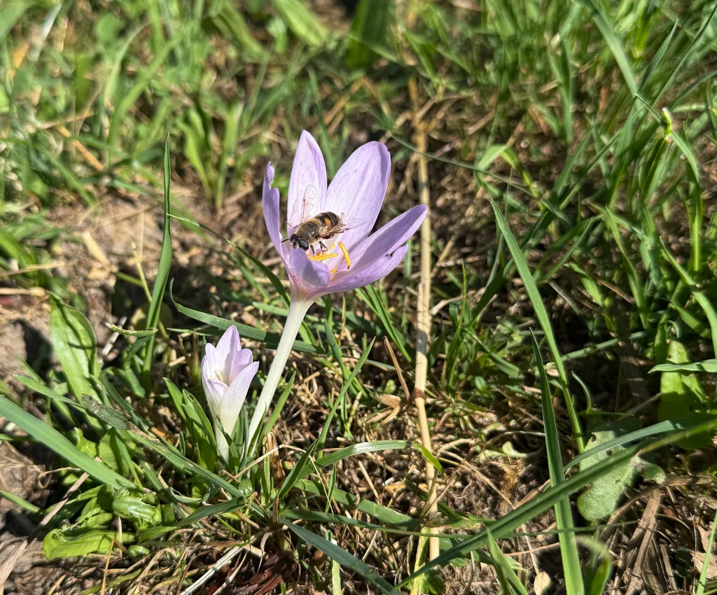 Bild von Jsabelle für den Spot 865