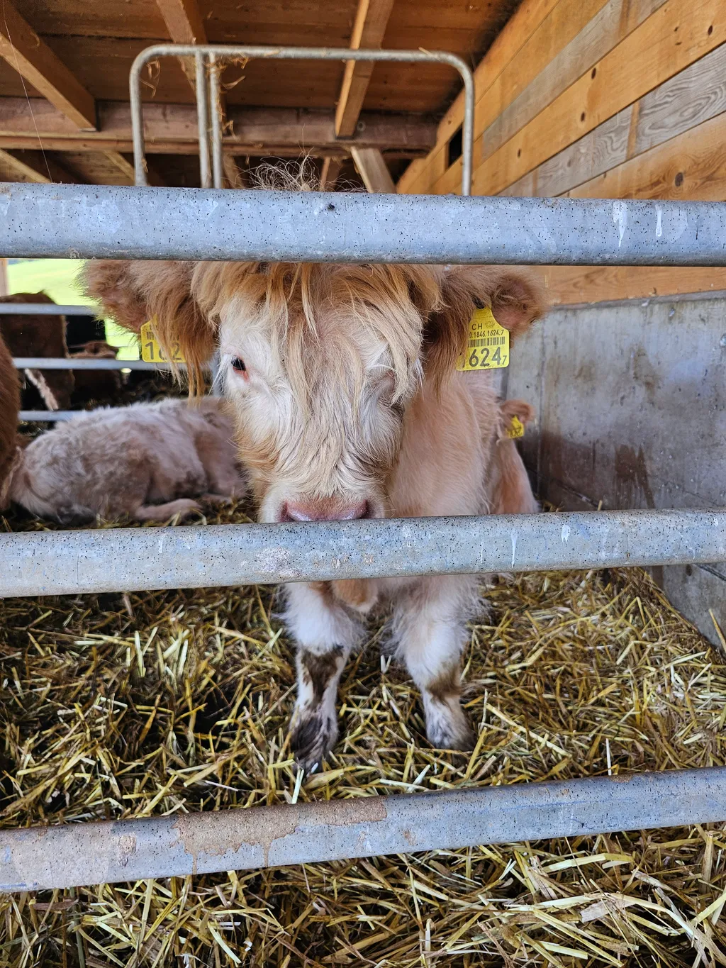Bild von Justine für den Spot 148