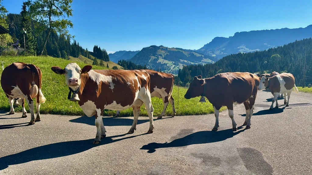 Bild von Peter und Jsa für den Spot 5085