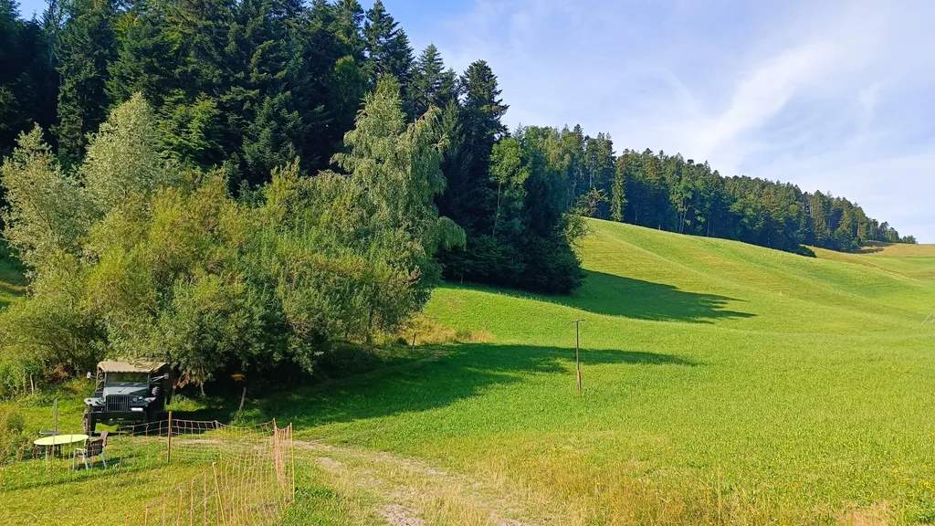 Bild von Veronika für den Spot 4176